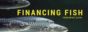 Financing Fish (13)